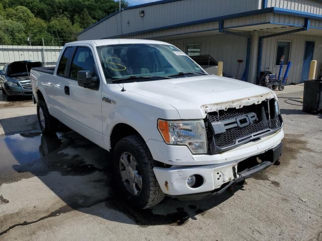 FORD F150 SUPER 2009 with VIN 1FTRX14W79FB30391 - Photo from auction