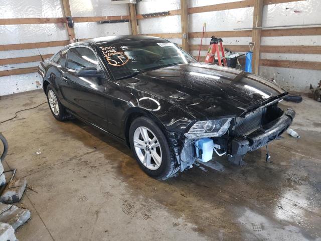 FORD MUSTANG 2013 with VIN 1ZVBP8AM2D5241925 - Photo from auction