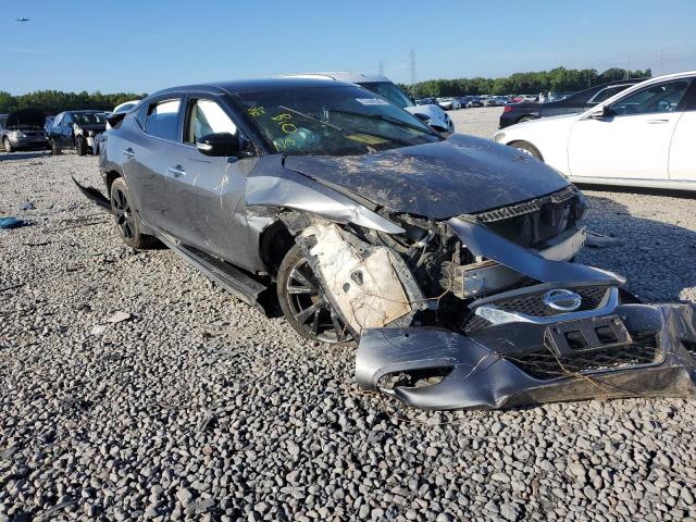 NISSAN MAXIMA 3.5 2017 with VIN 1N4AA6AP1HC427736 - Photo from auction