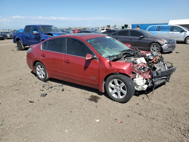 NISSAN ALTIMA HYB 2009 with VIN 1N4CL21E89C105641 - Photo from auction