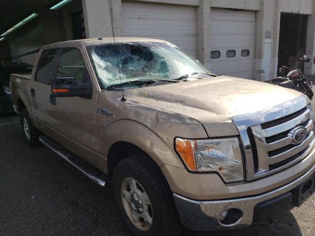 Foto 9 de la subasta – 2012 FORD F150 SUPER con VIN 1FTFW1EF8CFC10018