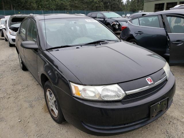 SATURN ION LEVEL 2004 with VIN 1G8AF52F14Z193918 - Photo from auction