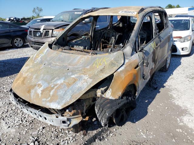 Photo 2 from auction – 2014 FORD ESCAPE TIT with VIN 1FMCU0J92EUD59621