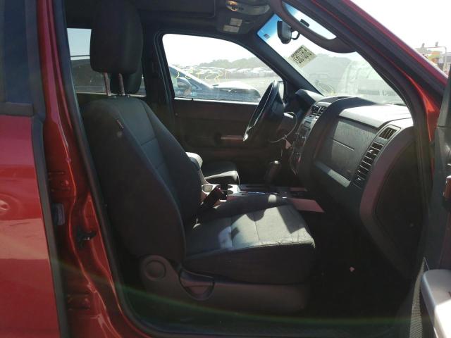 Photo 5 from auction – 2011 FORD ESCAPE XLT with VIN 1FMCU0D76BKB96960