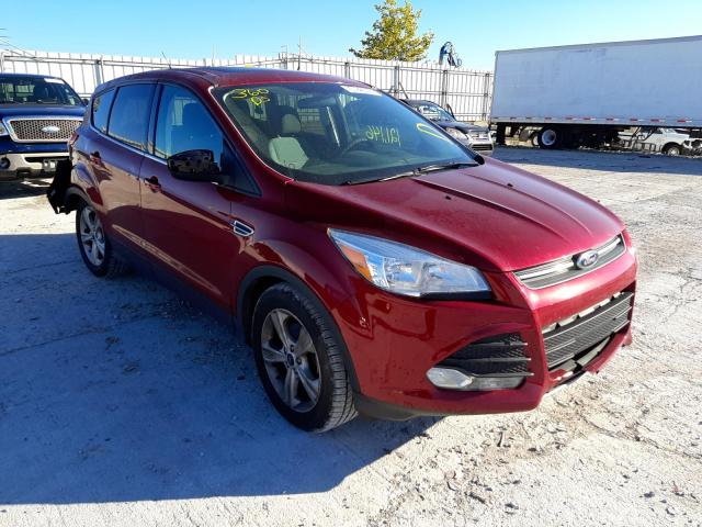 FORD ESCAPE SE 2014 with VIN 1FMCU0GX1EUB41787 - Photo from auction