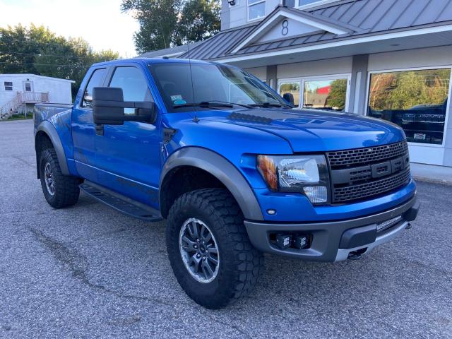 FORD F150 SUPER 2010 with VIN 1FTEX1EV1AFB10811 - Photo from auction