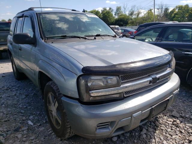 CHEVROLET TRAILBLAZE 2006 with VIN 1GNES13M162312787 - Photo from auction
