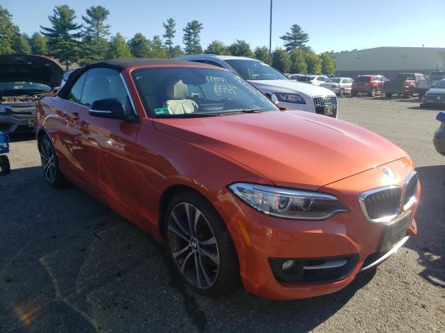 BMW 228 XI 2015 with VIN WBA1K7C55FV473173 - Photo from auction
