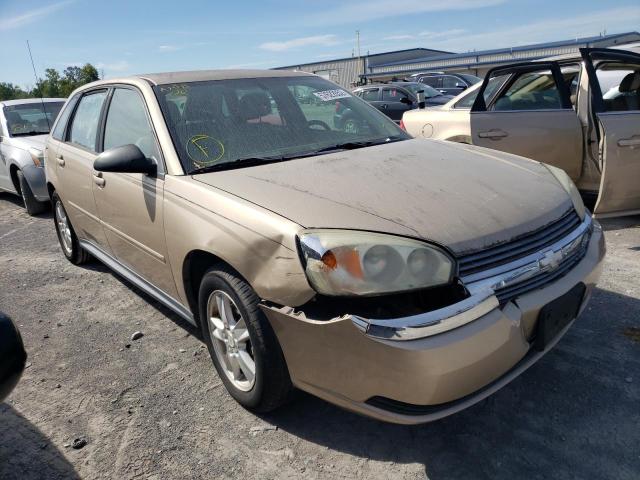 CHEVROLET MALIBU MAX 2004 with VIN 1G1ZT62844F221570 - Photo from auction