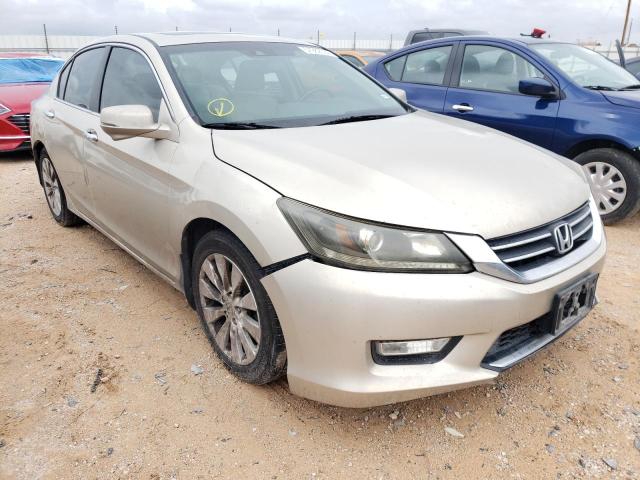 HONDA ACCORD EXL 2013 with VIN 1HGCR2F86DA014577 - Photo from auction