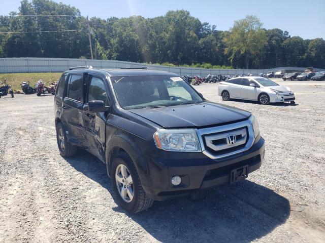 HONDA PILOT EXL 2010 with VIN 5FNYF4H52AB019788 - Photo from auction