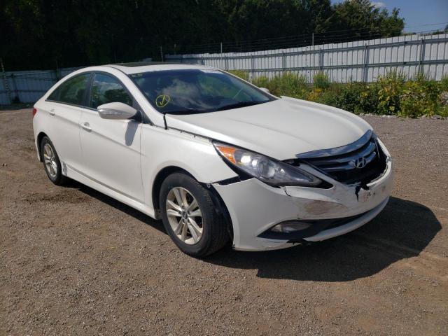 HYUNDAI SONATA GLS 2014 with VIN 5NPEB4AC0EH941992 - Photo from auction