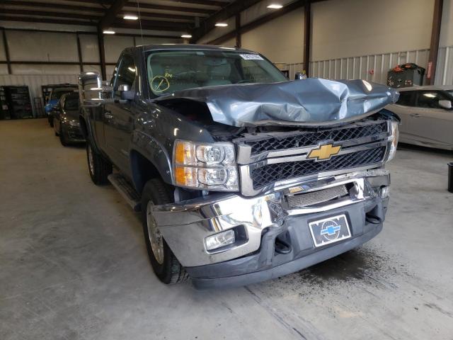 CHEVROLET SILVERADO 2014 with VIN 1GC0KXCGXEF181771 - Photo from auction