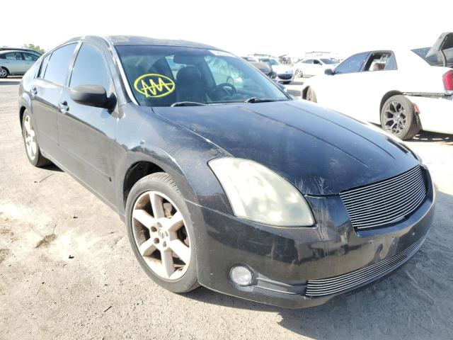 NISSAN MAXIMA SE 2006 with VIN 1N4BA41EX6C863747 - Photo from auction