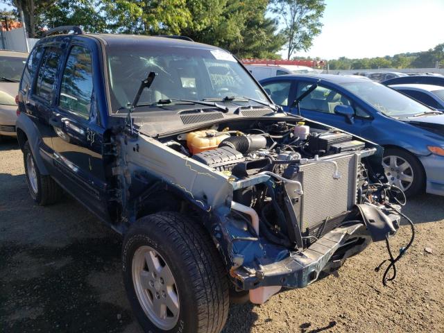 JEEP LIBERTY SP 2005 with VIN 1J4GL48K25W616235 - Photo from auction