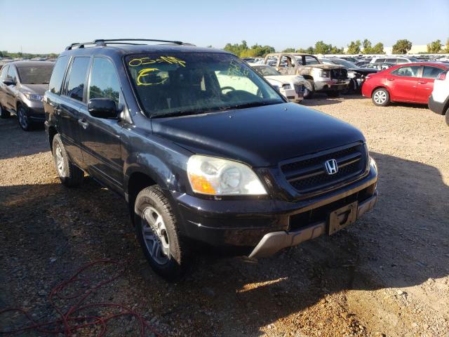 HONDA PILOT EXL 2004 with VIN 2HKYF18644H555543 - Photo from auction