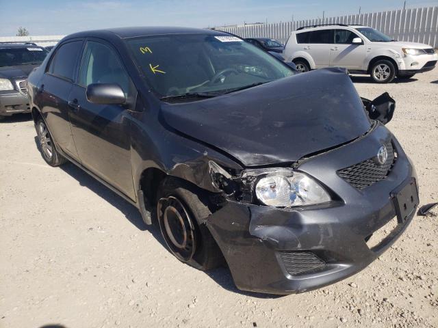 TOYOTA COROLLA 2009 with VIN 2T1BU40E39C075343 - Photo from auction