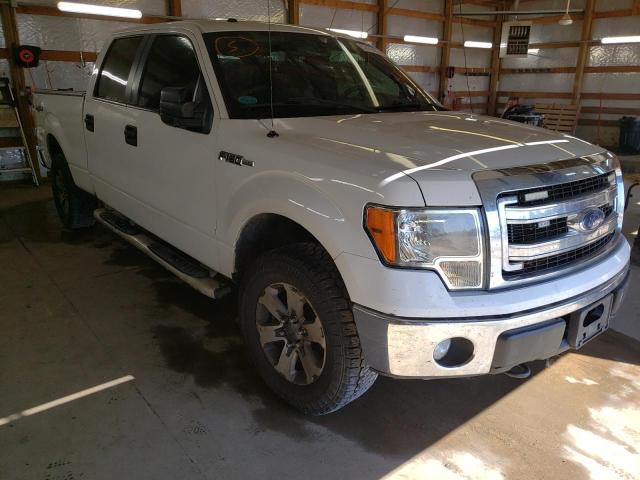 FORD F150 SUPER 2014 with VIN 1FTFW1EF3EFA50343 - Photo from auction