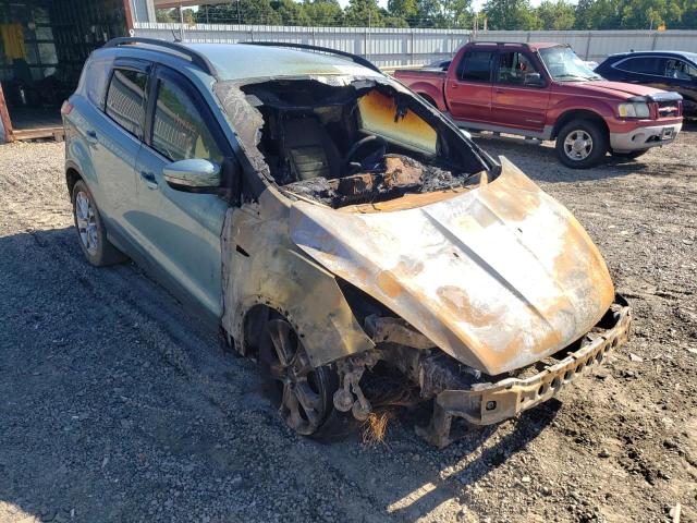 FORD ESCAPE SEL 2013 with VIN 1FMCU0HX2DUA95299 - Photo from auction