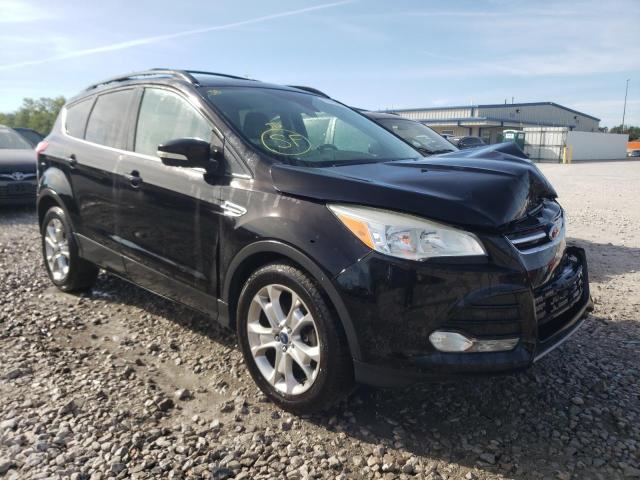 FORD ESCAPE SEL 2013 with VIN 1FMCU0H92DUD52043 - Photo from auction