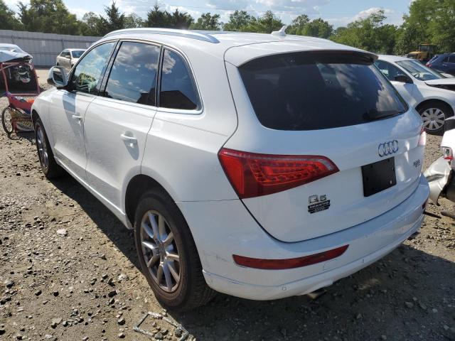 Photo 3 from auction – 2011 AUDI Q5 PREMIUM with VIN WA1LFAFP9BA097938