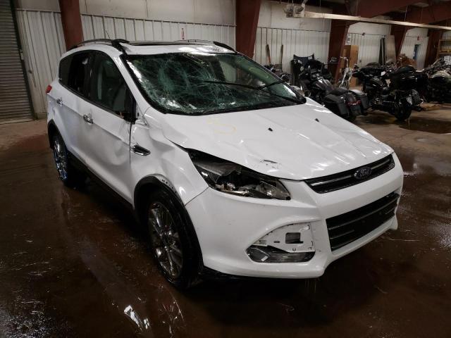 Photo 1 from auction – 2014 FORD ESCAPE SE with VIN 1FMCU9GXXEUD75589