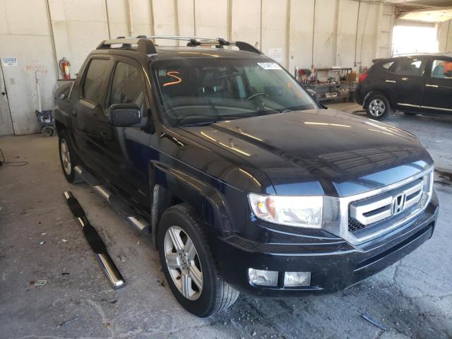 HONDA RIDGELINE 2011 with VIN 5FPYK1F59BB003383 - Photo from auction