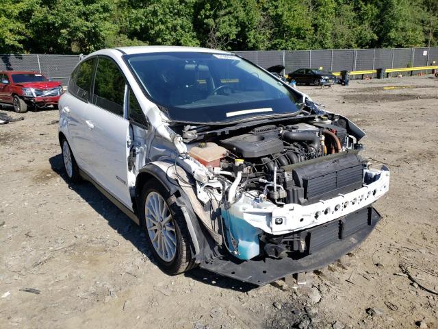 FORD C-MAX SE 2016 with VIN 1FADP5AU8GL113995 - Photo from auction