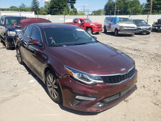 KIA OPTIMA EX 2019 with VIN 5XXGU4L12KG304334 - Photo from auction
