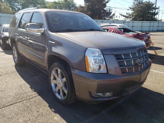 CADILLAC ESCALADE P 2013 with VIN 1GYS4CEF0DR334021 - Photo from auction