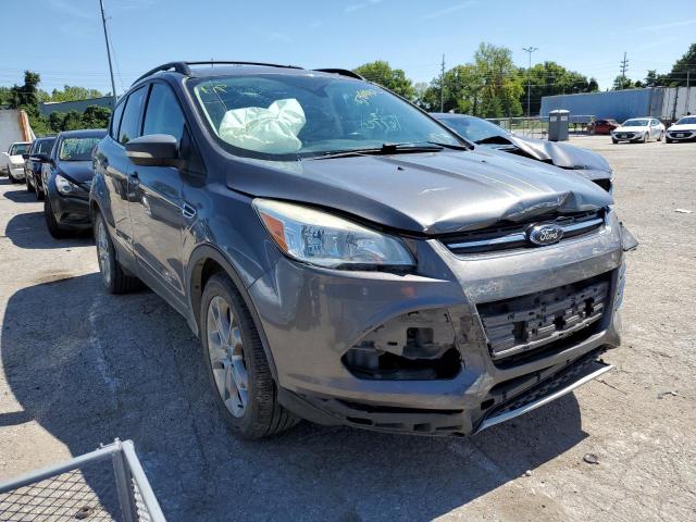 FORD ESCAPE SEL 2013 with VIN 1FMCU9HX6DUC06456 - Photo from auction