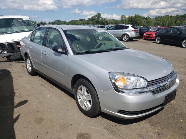 CHEVROLET MALIBU LS 2005 with VIN 1G1ZT54895F248045 - Photo from auction