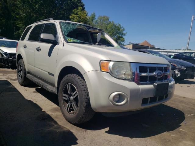 FORD ESCAPE XLT 2008 with VIN 1FMCU03Z98KE46445 - Photo from auction