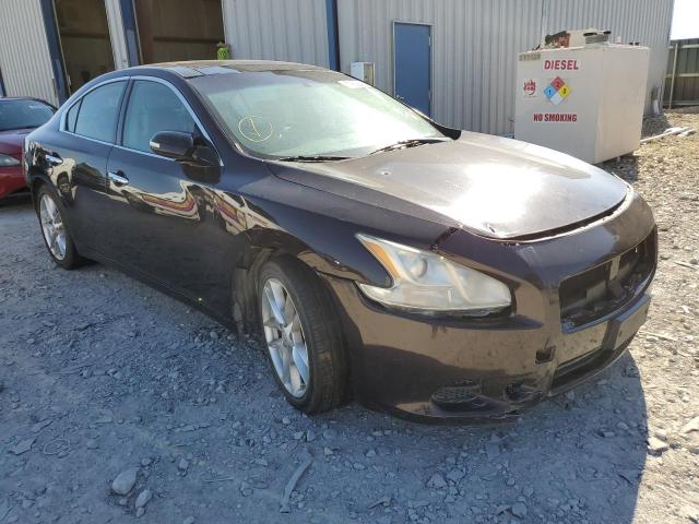 NISSAN MAXIMA S 2010 with VIN 1N4AA5AP8AC849809 - Photo from auction
