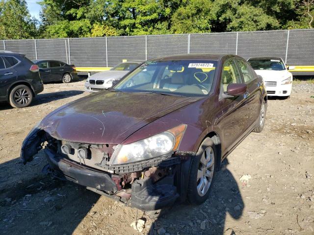 Photo 2 from auction – 2010 HONDA ACCORD EXL with VIN 5KBCP3F85AB007117