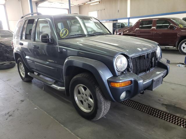JEEP LIBERTY 2002 with VIN 1J8GL58K32W298450 - Photo from auction