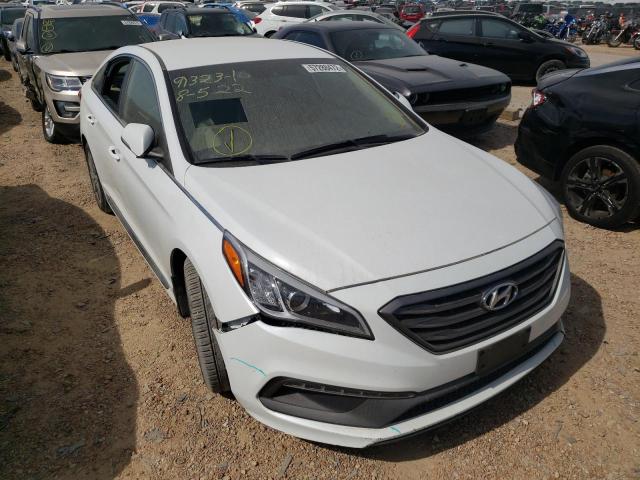 HYUNDAI SONATA SPO 2016 with VIN 5NPE34AF7GH339228 - Photo from auction