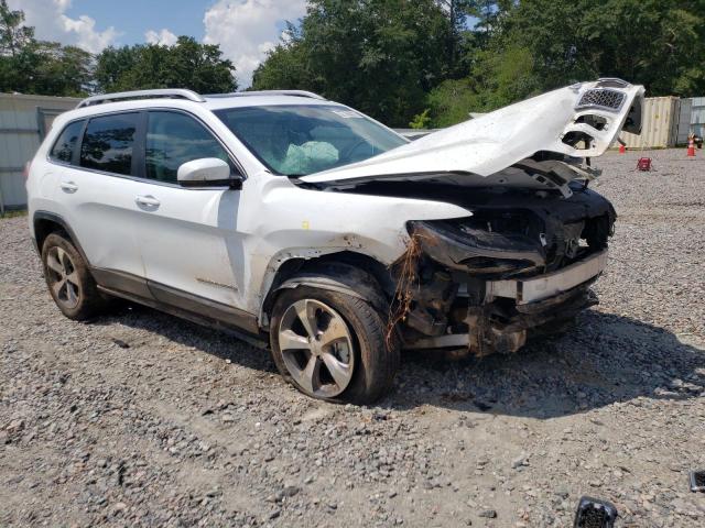 JEEP CHEROKEE L 2019 with VIN 1C4PJMDX0KD422937 - Photo from auction