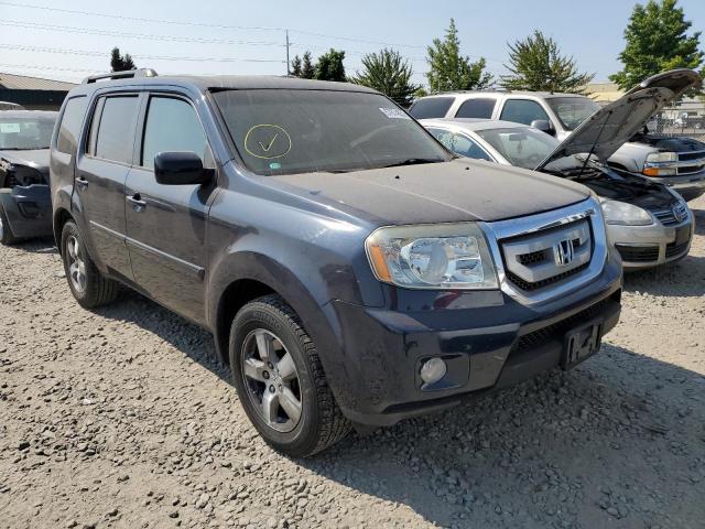 HONDA PILOT EX 2009 with VIN 5FNYF38429B001868 - Photo from auction