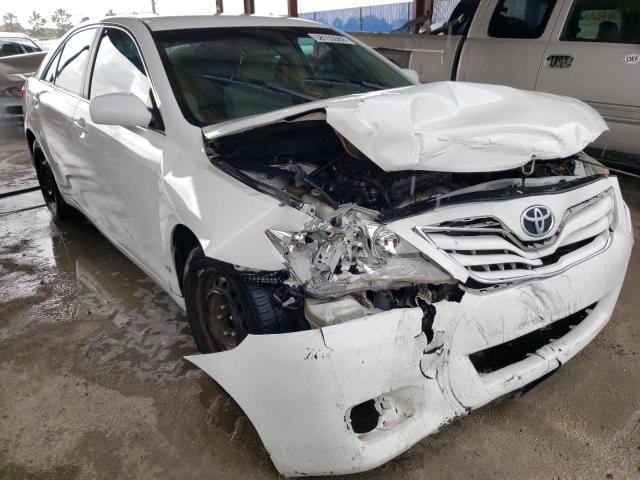 TOYOTA CAMRY BASE 2010 with VIN 4T1BF3EK2AU554861 - Photo from auction