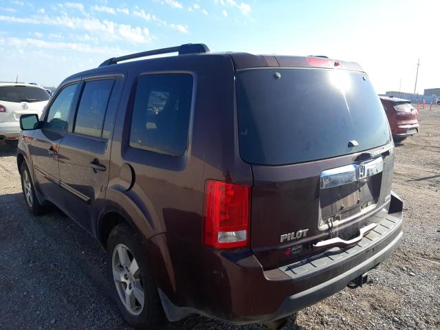 Photo 3 from auction – 2010 HONDA PILOT EXL with VIN 5FNYF4H60AB024237