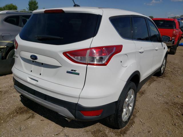 Photo 4 from auction – 2014 FORD ESCAPE SE with VIN 1FMCU0GX3EUC42779