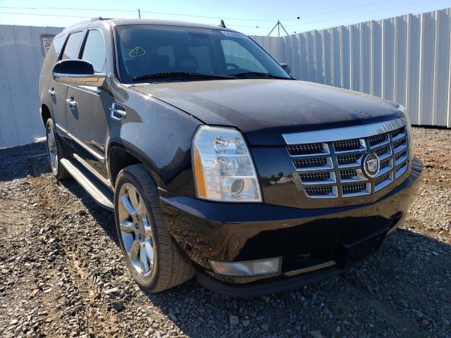 Photo 1 from auction – 2010 CADILLAC ESCALADE L with VIN 1GYUKBEF6AR269616