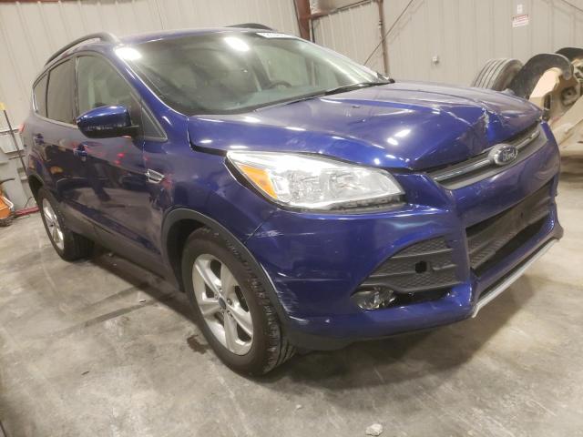 FORD ESCAPE SE 2014 with VIN 1FMCU0GX9EUE08397 - Photo from auction