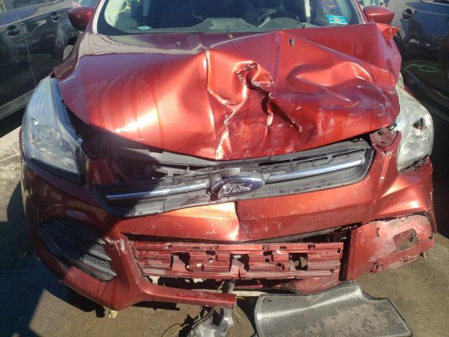 Photo 7 from auction – 2014 FORD ESCAPE SE with VIN 1FMCU0GX2EUB37716