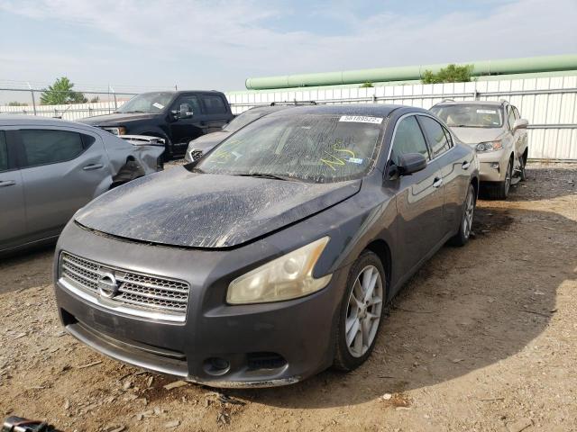 Photo 2 from auction – 2010 NISSAN MAXIMA S with VIN 1N4AA5APXAC802846