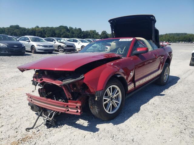Photo 2 from auction – 2005 FORD MUSTANG with VIN 1ZVFT84N355253164