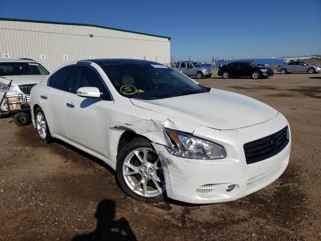 NISSAN MAXIMA S 2013 with VIN 1N4AA5AP5DC816528 - Photo from auction