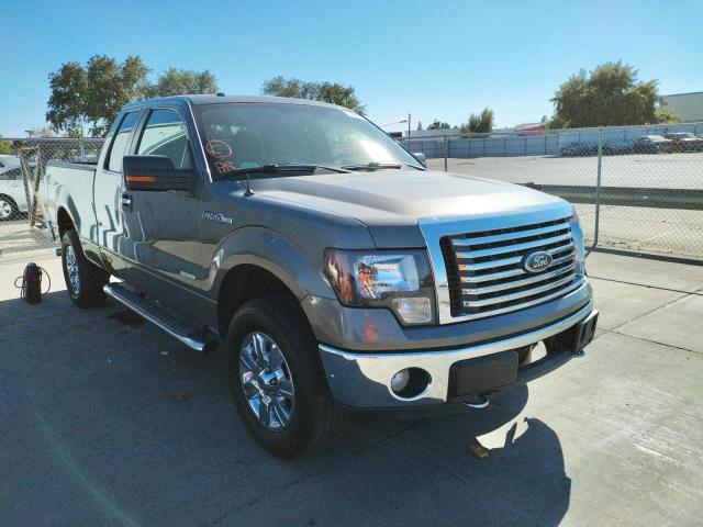 FORD F150 SUPER 2012 with VIN 1FTFX1ETXCFC21685 - Photo from auction