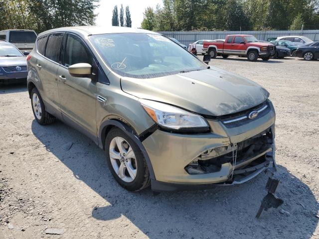 Photo 1 from auction – 2013 FORD ESCAPE SE with VIN 1FMCU0GXXDUD24376